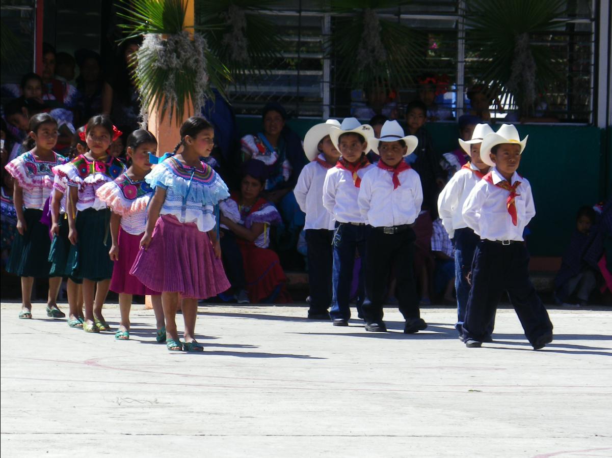 Local School01